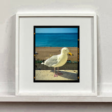 Load image into Gallery viewer, The Queens Seagull, Brighton, 2025