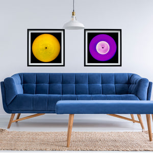 Vinyl Collection 'Flash Back', 2025