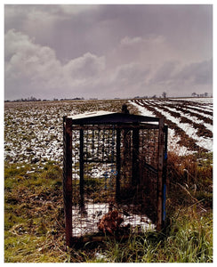 Photograph by Richard Heeps.  A fox trap sits on a field in the snowy fenland of Cambridgeshire.