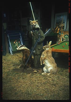 Charlie's Hunting Party, Stow-cum-Quy 1993