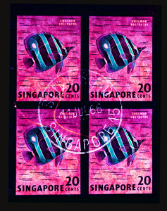 20 Cents Singapore Butterfly Fish (Hot Pink), 2018
