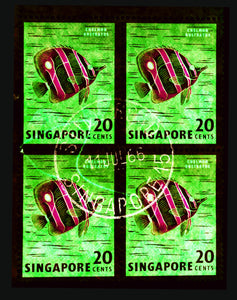 20 Cents Singapore Butterfly Fish (Green), 2018