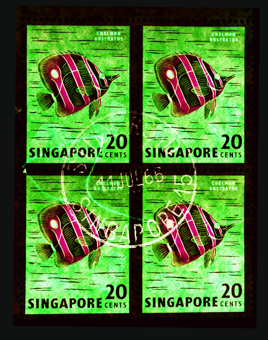 20 Cents Singapore Butterfly Fish (Green), 2018