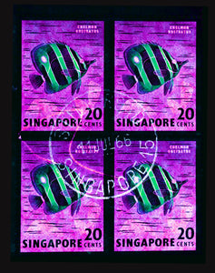 20 Cents Singapore Butterfly Fish (Purple), 2018
