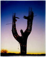Load image into Gallery viewer, The silhouette of a large scale cactus, dressed in twinkle lights, set against an ombre twilight sky. Photographed by Richard Heeps in the Arizona desert, for his &#39;Dream in Colour&#39; series.