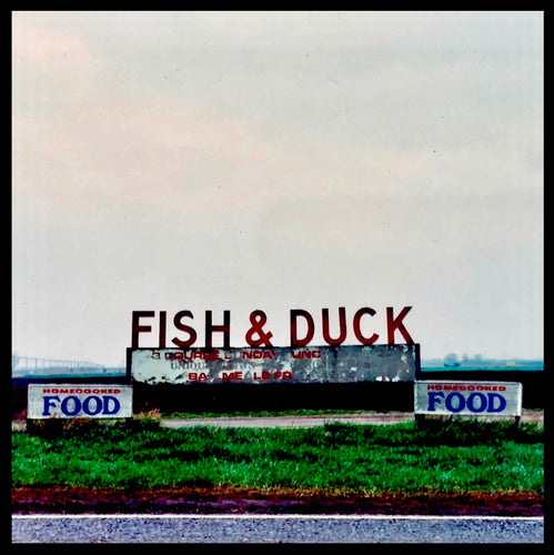 Fish & Duck, Cambridgeshire 1992