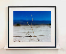 Load image into Gallery viewer, &#39;Florescence&#39;, from Richard Heeps&#39; &#39;Dream in Colour&#39; series was photographed in Panamint Valley, Death Valley National Park, California. This minimal landscape photograph uses a shallow depth of field emphasises a lone twig, a small sign of life, against a deep blue sky background.