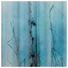 Load image into Gallery viewer, Photograph by Richard Heeps.  A few grains of grass contrast against a light blue marked curtain.