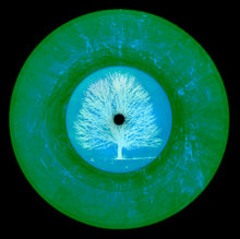 Load image into Gallery viewer, Photograph by Natasha Heidler and Richard Heeps.  A green vinyl record, with a blue record label with the depiction of a white tree.  The blue from the centre echoes onto the record vinyl.  This sits on a black background.