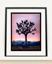 Load image into Gallery viewer, This artwork shows an almost silhouette of The Joshua Tree in the rural landscape of the Mojave Desert, southeastern California and southern Nevada. Captured at dusk as part of Richard Heeps’ &#39;Dream in Colour&#39; series.