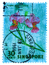 Load image into Gallery viewer, Singapore Stamp Collection &#39;30 Cents Singapore Orchid Blue&#39;. These historic postage stamps that make up the Heidler &amp; Heeps Stamp Collection, Singapore Series &#39;Postcards from Afar&#39; have been given a twenty-first century pop art lease of life. The fine detailed tapestry of the original small postage stamp has been brought to life, made unique by the franking stamp and Heidler &amp; Heeps specialist darkroom process.