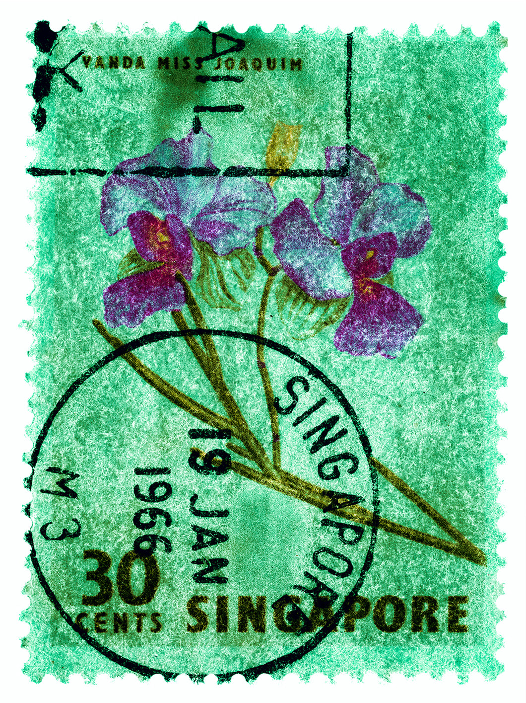 30 Cents Singapore Orchid Green. These historic postage stamps that make up the Heidler & Heeps Stamp Collection, Singapore Series “Postcards from Afar” have been given a twenty-first century pop art lease of life. The fine detailed tapestry of the original small postage stamp has been brought to life, made unique by the franking stamp and Heidler & Heeps specialist darkroom process.