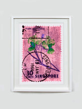 Load image into Gallery viewer, Singapore Stamp Collection &#39;30 Cents Singapore Orchid Pink&#39;. These historic postage stamps that make up the Heidler &amp; Heeps Stamp Collection, Singapore Series &#39;Postcards from Afar&#39; have been given a twenty-first century pop art lease of life. The fine detailed tapestry of the original small postage stamp has been brought to life, made unique by the franking stamp and Heidler &amp; Heeps specialist darkroom process.
