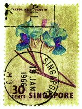 Load image into Gallery viewer, Singapore Stamp Collection &#39;30 Cents Singapore Orchid Yellow&#39;. These historic postage stamps that make up the Heidler &amp; Heeps Stamp Collection, Singapore Series &#39;Postcards from Afar&#39; have been given a twenty-first century pop art lease of life. The fine detailed tapestry of the original small postage stamp has been brought to life, made unique by the franking stamp and Heidler &amp; Heeps specialist darkroom process.