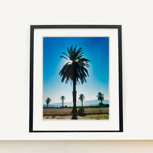 Load image into Gallery viewer, Classic Palm Tree Print, against a blue sky above desert, mountains and sea.