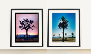 Classic Palm Tree Print, against a blue sky above desert, mountains and sea.