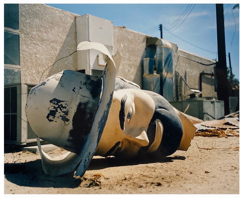 Poor Richard - Head, Salton Sea, California 2002