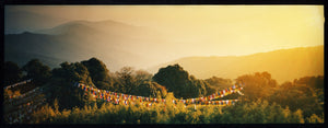 Prayer Flags, Darjeeling, West Bengal, 2013