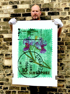 30 Cents Singapore Orchid Green. These historic postage stamps that make up the Heidler & Heeps Stamp Collection, Singapore Series “Postcards from Afar” have been given a twenty-first century pop art lease of life. The fine detailed tapestry of the original small postage stamp has been brought to life, made unique by the franking stamp and Heidler & Heeps specialist darkroom process.