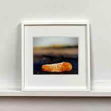 Load image into Gallery viewer, 0°00&#39; longitude, 52°37N&#39; latitude, Frozen Carrot, Black Drove, Cambridgeshire 2001