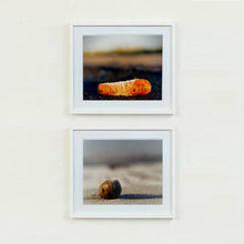 Load image into Gallery viewer, 0°00&#39; longitude, 52°37N&#39; latitude, Frozen Carrot, Black Drove, Cambridgeshire 2001
