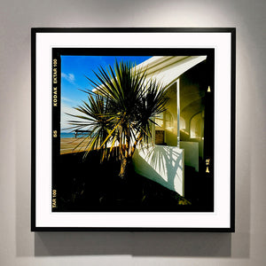 Palms, St Leonards-On-Sea, 2020