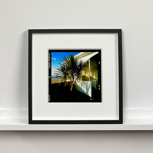 Palms, St Leonards-On-Sea, 2020