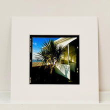 Load image into Gallery viewer, Palms, St Leonards-On-Sea, 2020