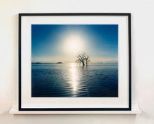 Load image into Gallery viewer, Towards Rock Hill, photographed by Richard in Bombay Beach, Salton Sea, California. The horizon intersected by sun rays, featuring a tree unexpectedly rising out of the lake gives this piece an ethereal quality. 