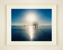 Load image into Gallery viewer, Towards Rock Hill, photographed by Richard in Bombay Beach, Salton Sea, California. The horizon intersected by sun rays, featuring a tree unexpectedly rising out of the lake gives this piece an ethereal quality. 