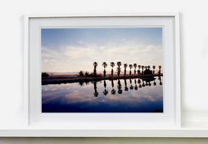 Zzyzx Resort Pool, part of Richard Heeps 'Dream in Colour' Series, he was set a challenge to find something interesting on the road from LA to Las Vegas. In the heart of the Mojave Desert, Richard found the former spa Zzyzx, an oasis. This dreamy artwork keeps the perfect summery palm print vibe all year round.