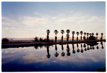Load image into Gallery viewer, Zzyzx Resort Pool, part of Richard Heeps &#39;Dream in Colour&#39; Series, he was set a challenge to find something interesting on the road from LA to Las Vegas. In the heart of the Mojave Desert, Richard found the former spa Zzyzx, an oasis. This dreamy artwork keeps the perfect summery palm print vibe all year round.