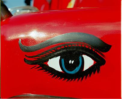 Indian Eye Left, Darjeeling, 2013