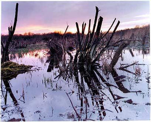 Sedge Fen, Wicken Fen 2002