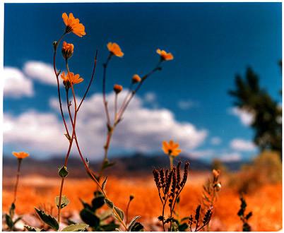 Hell's Gate, Death Valley, California 2000