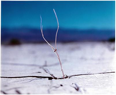 Panamint Valley I, Death Valley National Park, California 2000