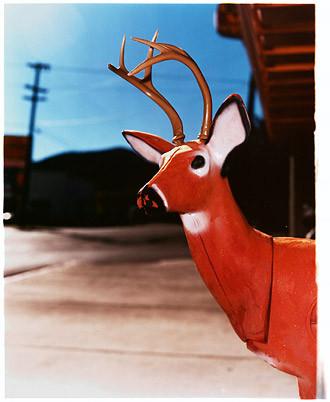 Deer I, Ely, Nevada 2003