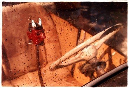 Windshield, Sweden 2004