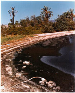 Shore Line, North Shore, Salton Sea, California 2003