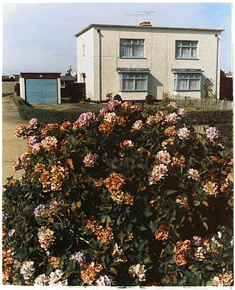 Bata Avenue (portrait), East Tilbury 2003