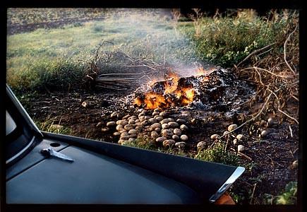 Burning Potatoes, Honey Hill, Cambridgeshire 1993