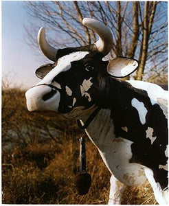 The Cow II - Barnards Farm, West Horndon 2004