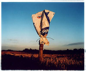 Scarecrow - Southwest Cambridge, Cambridgeshire 2005