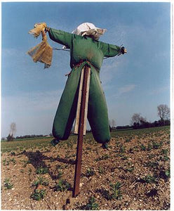 Scarecrow - Roman Site I, Shepreth, Cambridgeshire 2005