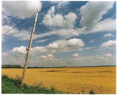 Telephone Pole I, White Horse Road, Cambridgeshire 2005