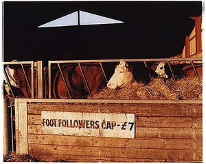Race course - Foot Followers, Cottenham, Cambridge 2002