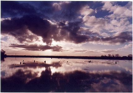 Baker's Fen I, Wicken 2002