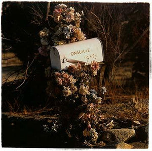 Onsurez mailbox, Joshua Tree California 2002